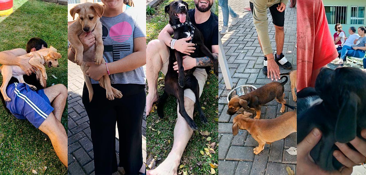 A Ciência do Afeto: Como a Interação com Animais Transforma a Saúde Mental na UNIICA
